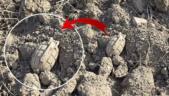 Tarlada savaştan kalma patlamamış el bombası bulundu