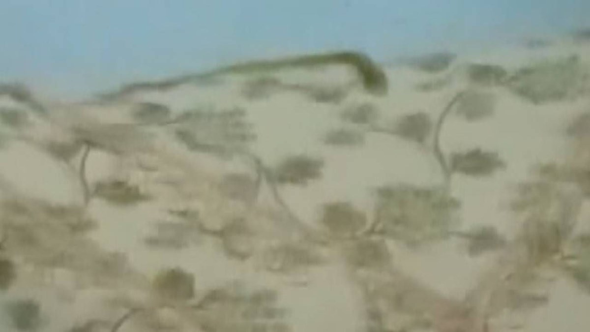 X2YQ82npS0Gdqa9L2OMwTQ.jpg