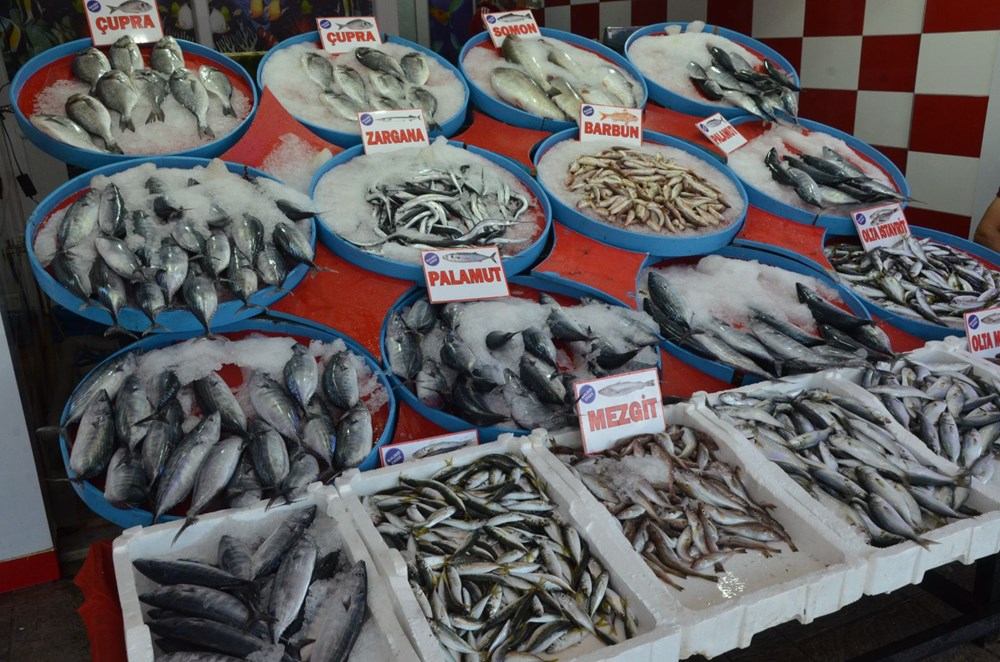 Palamut 5 liraya kadar düştü - 5