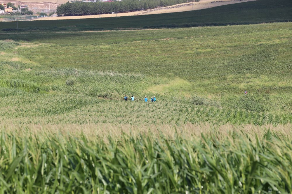 Kayıp Narin bulundu mu? Narin Güran'ı arayan ekipler ikiye ayrıldı (Narin'i arama çalışmalarında son durum) - 20