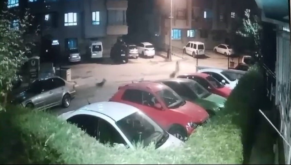 Sokak köpeğinden kızını korumak için koşarken kucağındaki çocuğuyla yere düştü Sokak köpeğinden kızını korumak için koşarken kucağındaki çocuğuyla yere düştü