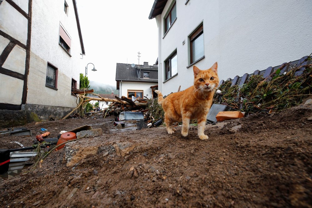 Almanya'da sel felaketi: Ölü sayısı 100'ü aştı - 22