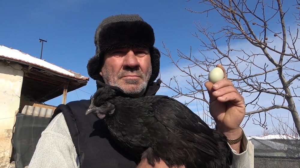 'Ayam Cemani' cinsi horoz ve tavuk görenleri şaşırtıyor: Piyasa fiyatı 17 bin TL - 5