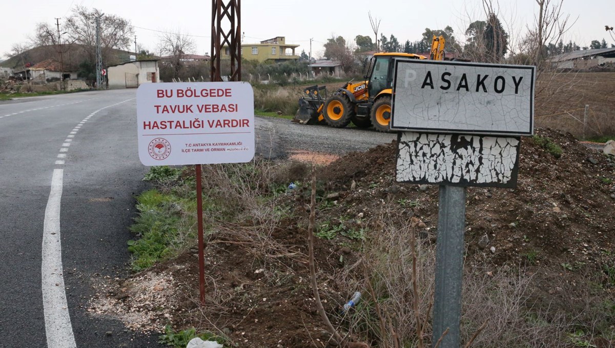 Hatay'da kuş gribi alarmı: Bir mahalle karantinaya alındı