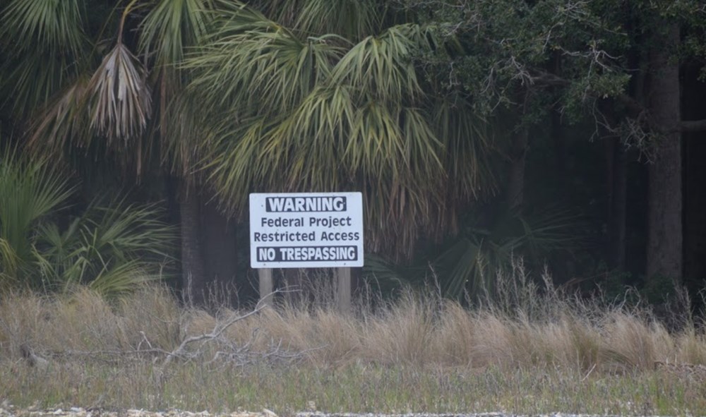 4 binden fazla vahşi maymuna ev sahipliği yapan "Maymun Adası" hakkında bilmedikleriniz - 3