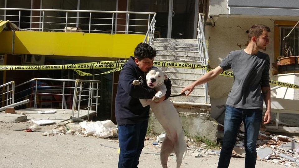 Kahraman köpek'Dora' 2 çocuğu kurtardı - 2