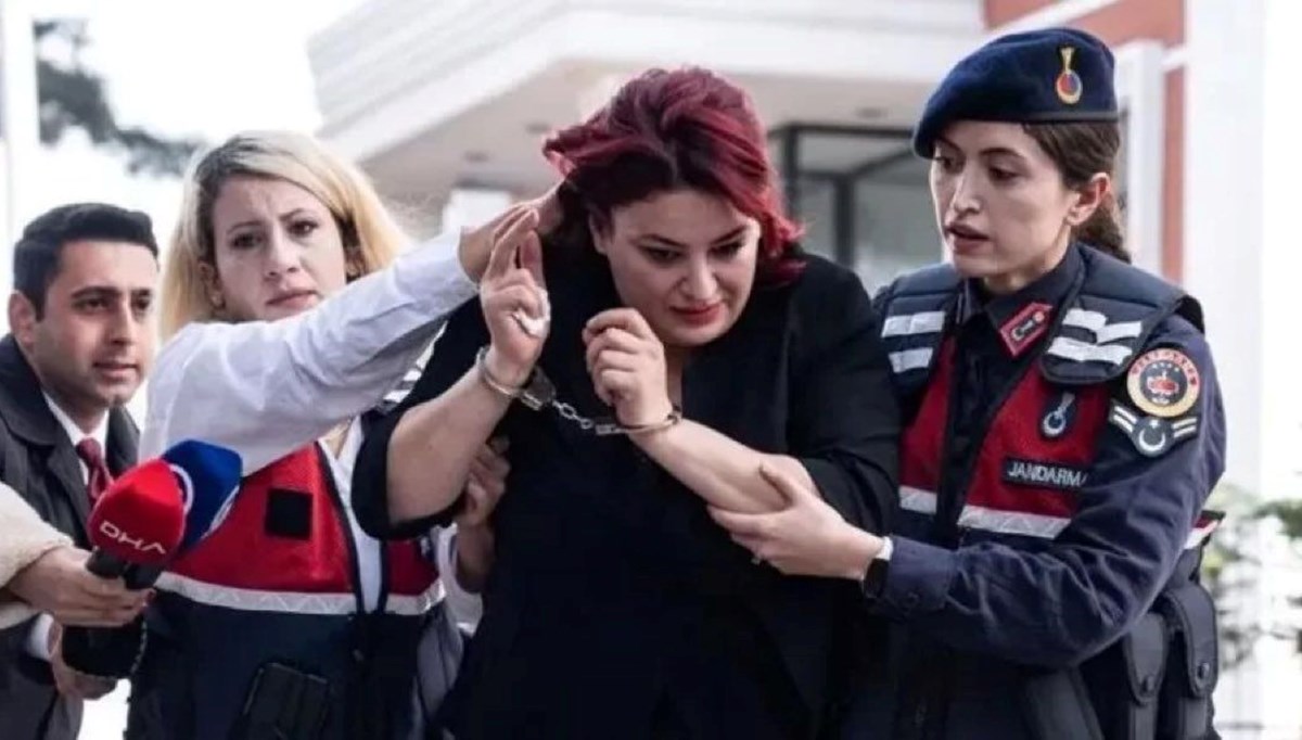 Yenidoğan Çetesi soruşturması | İkinci fezlekede kan donduran ifadeler: Yenidoğan Çetesi soruşturması | İkinci fezlekede kan donduran ifadeler: