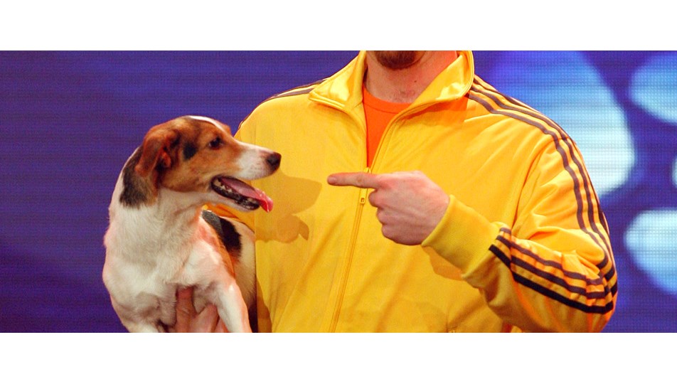 Almanya'nın en yeteneklisi bir köpek