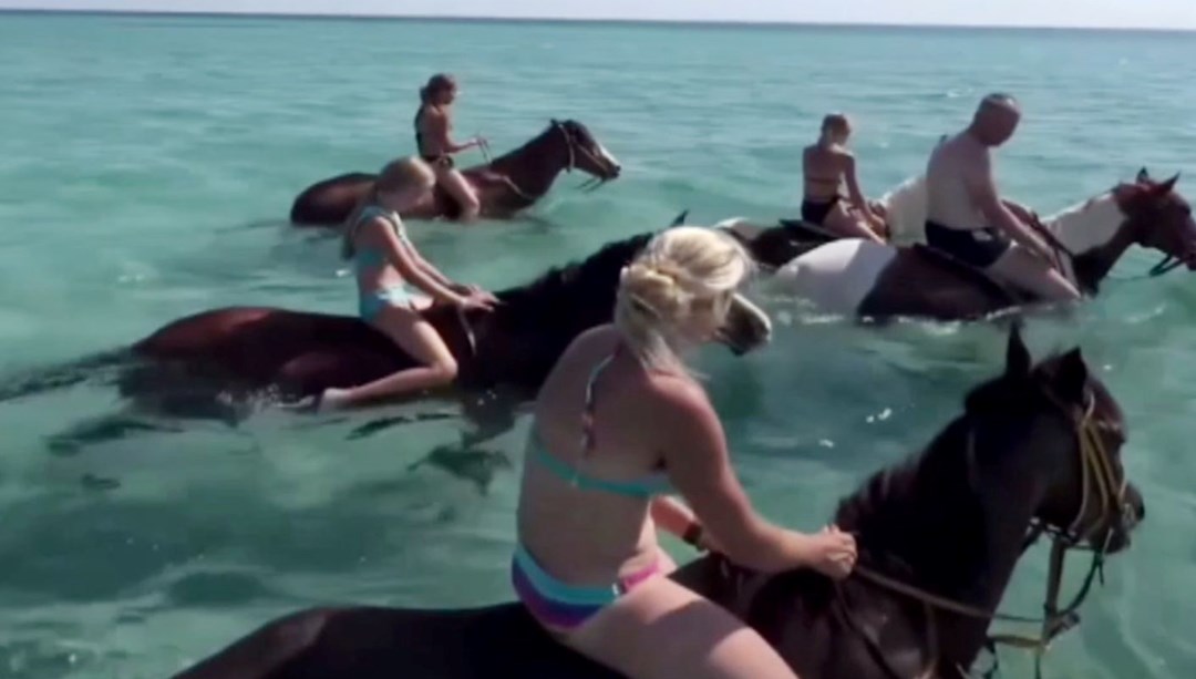 Tepki çeken denizde at turu uygulaması: "Hayvan çatlayabilir!"