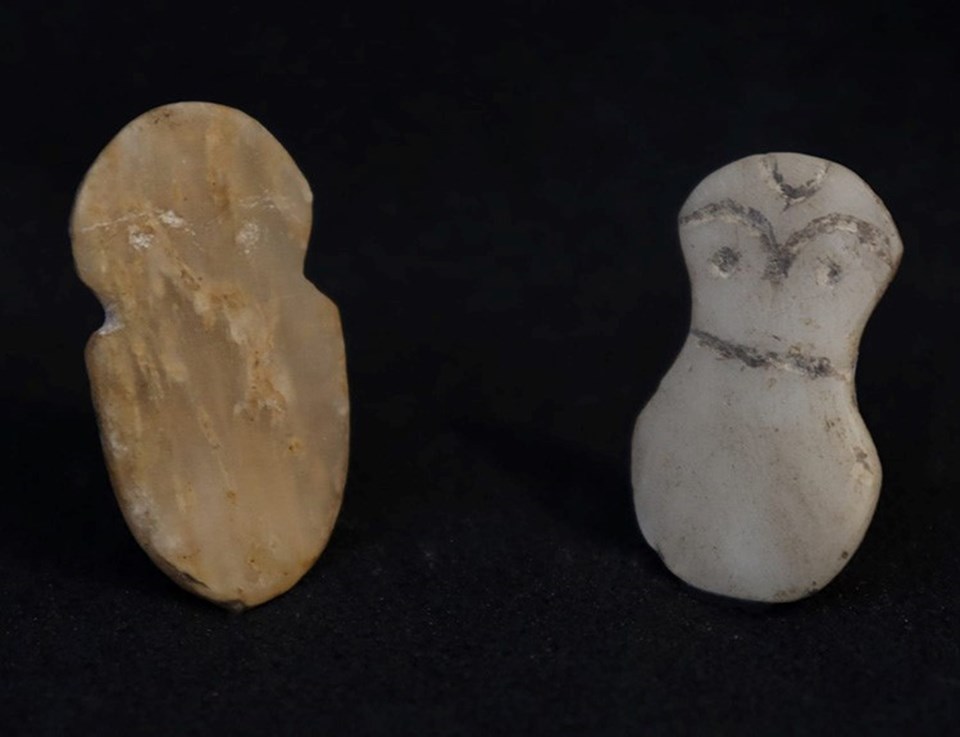 Arkeologları şaşırtan keşif: 4200 yıllık fındık kalıntıları bulundu - 1