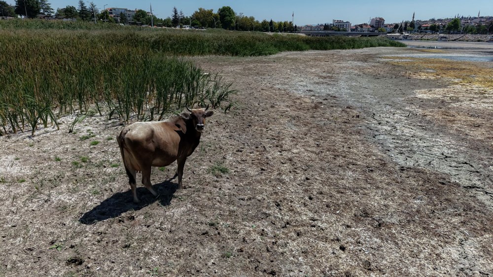 Türkiye'nin en büyük tatlı su gölü kurumak üzere: "Göl vefat etti! Türkiye'nin başı sağ olsun" - 2