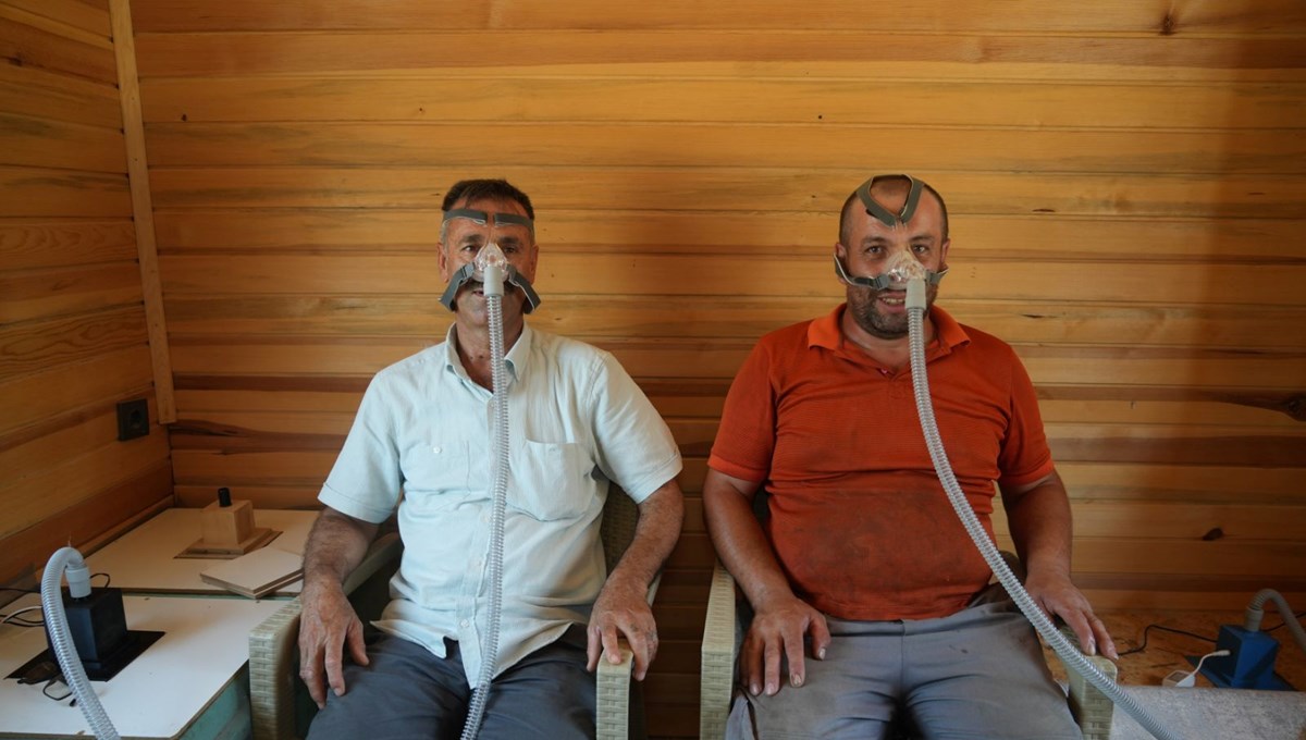 Alerji, astım, bronşite iyi geliyor: Şifayı böyle buluyorlar