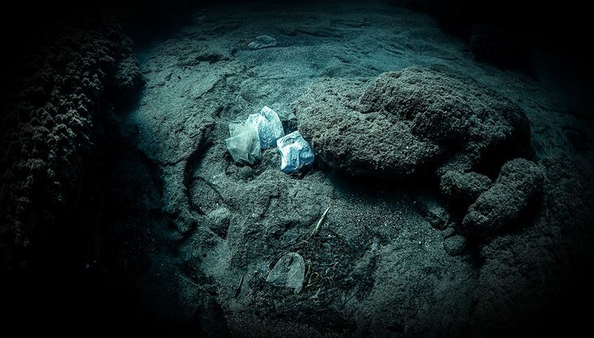 Okyanusun her katmanında mikroplastik izi