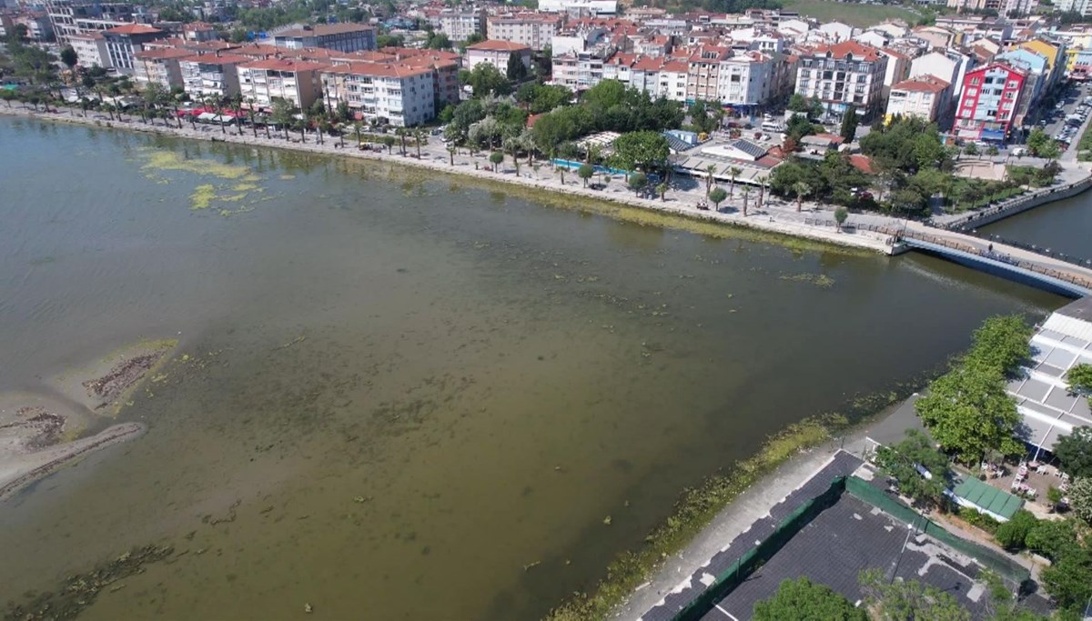 Marmara'da endişelendiren görüntü: 