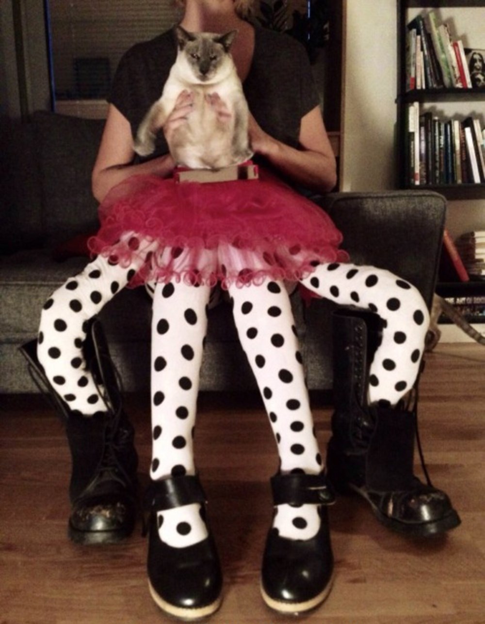 25 забавных фотографий котов в колготках