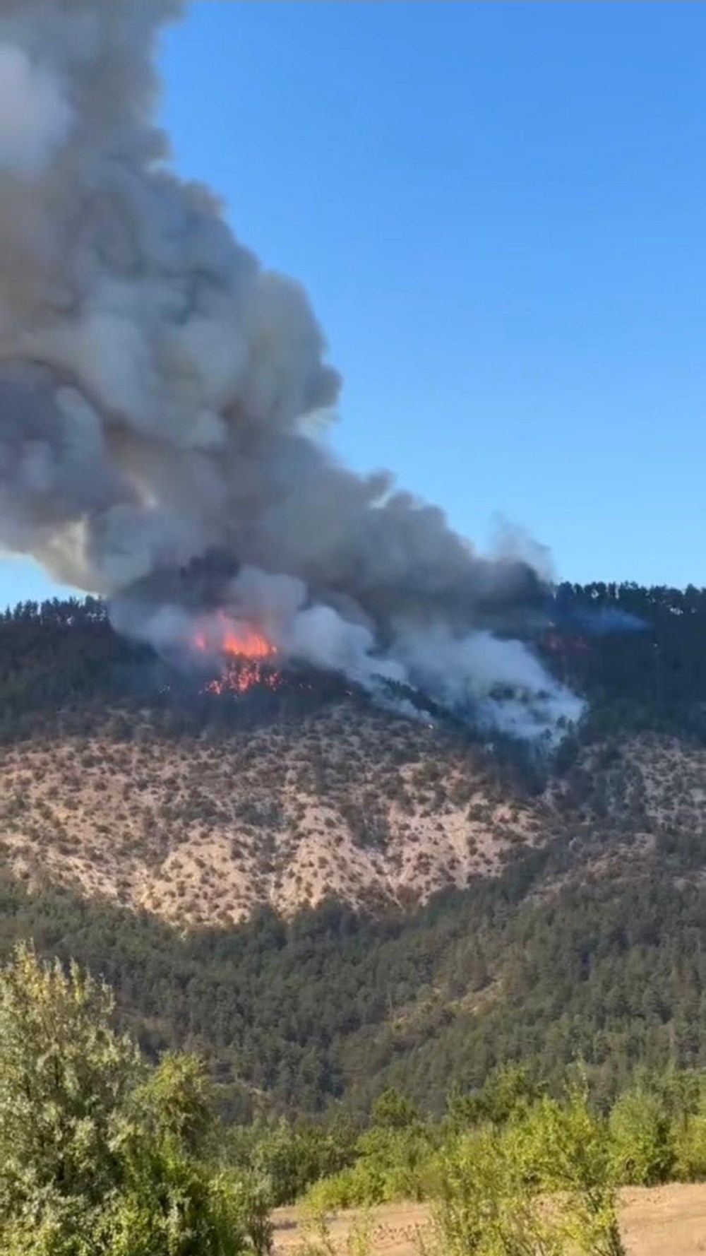 Orman yangınlarıyla mücadele | 8 noktada yangın devam ediyor, yerleşim yerleri tehdit altında - 32