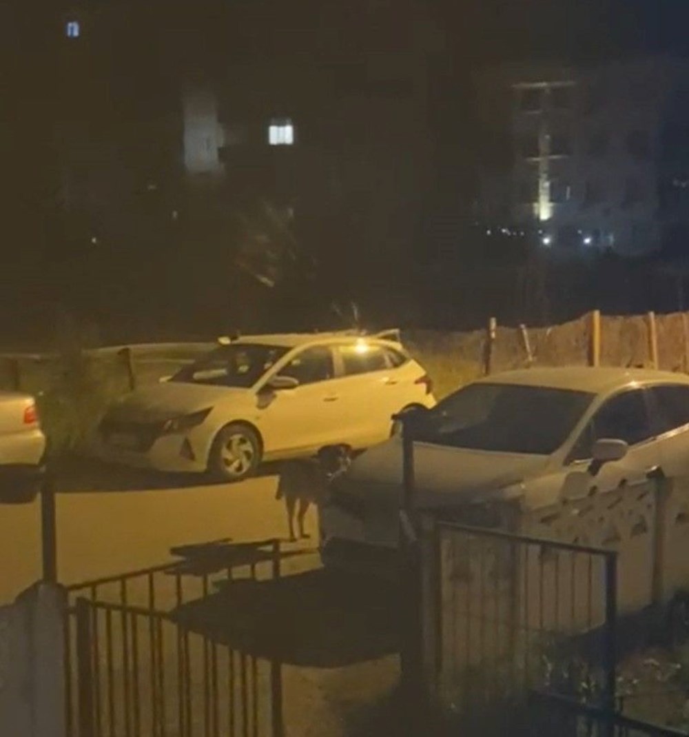 XIZhqr k2GPNJbpCzk9Q