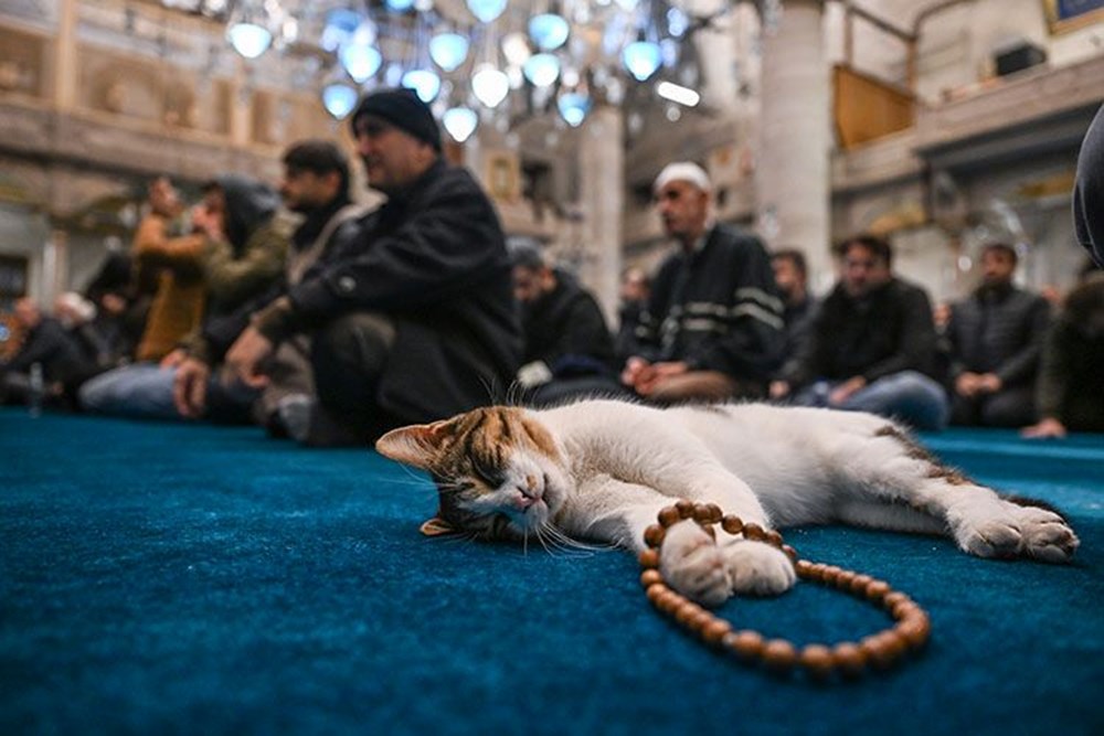 Hayırlı cumalar mesajları 28 Şubat 2025: En güzel, anlamlı ve farklı cuma mesajları - 5