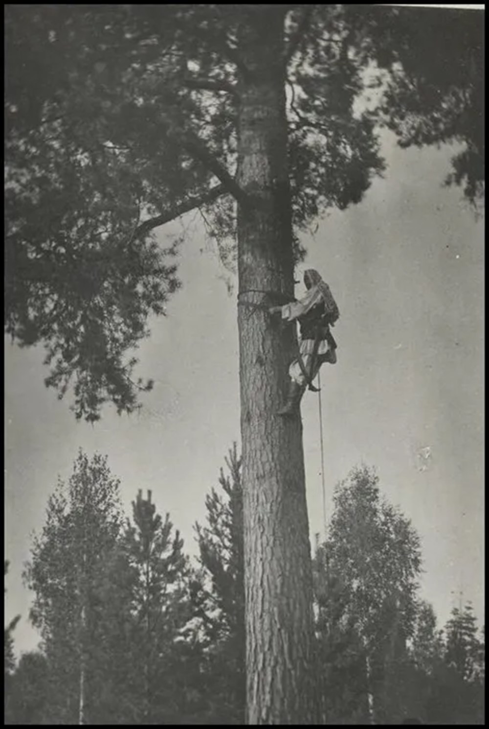 Bilim kurgu değil Türk boylarının 111 yıllık fotoğrafları. Gizemli heykeller, gelişmiş aletler, tanıdık kıyafetler (106 fotoğrafla gizemli Türk tarihi) - 27