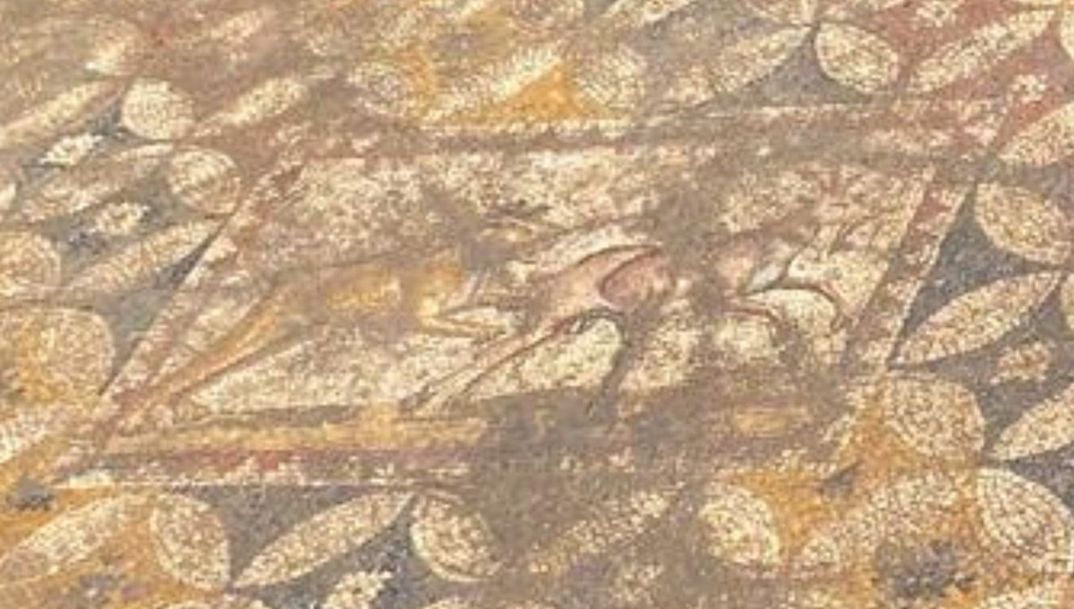 Papa'nın geleceği İznik'te müthiş keşfin sırrı belli oluyor