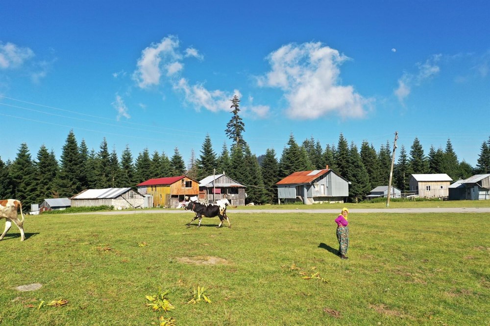 Doğa turizminin gözdesi Sakarya yaylaları - 10