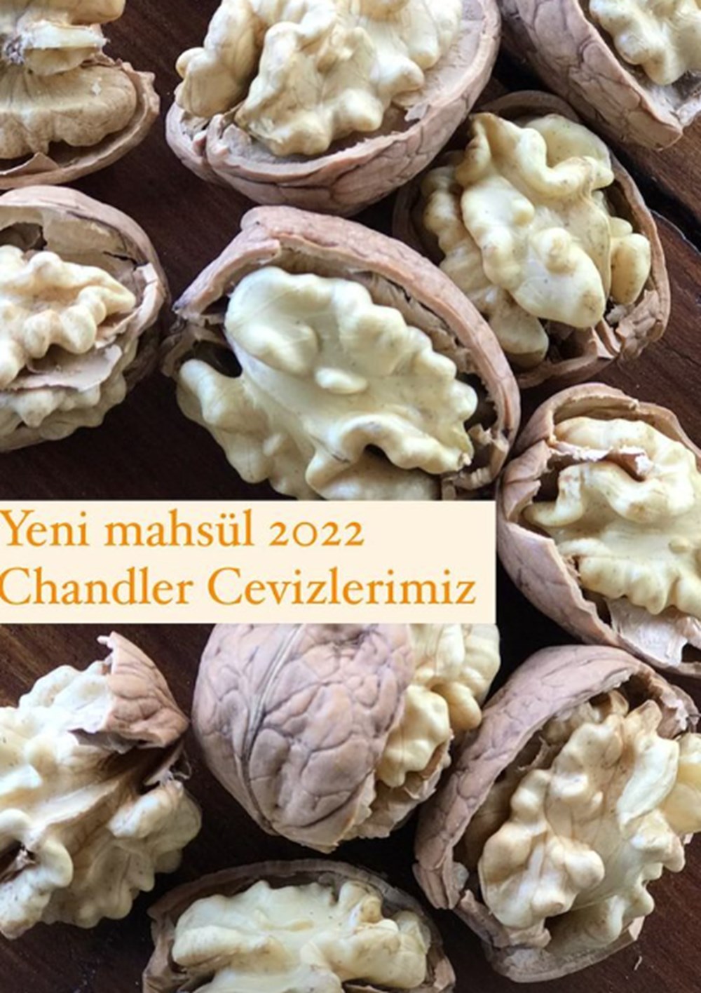 Burak Hakkı'nın çiftlik hayatı - 5