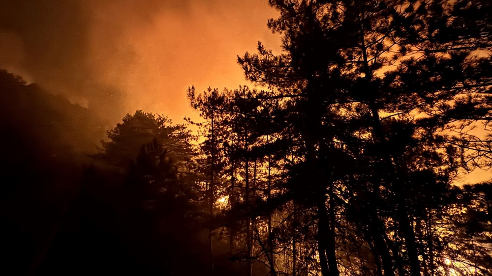 Sakarya'da iki mahalle tahliye edildi: Alevlerle mücadele gece boyu sürdü - 13