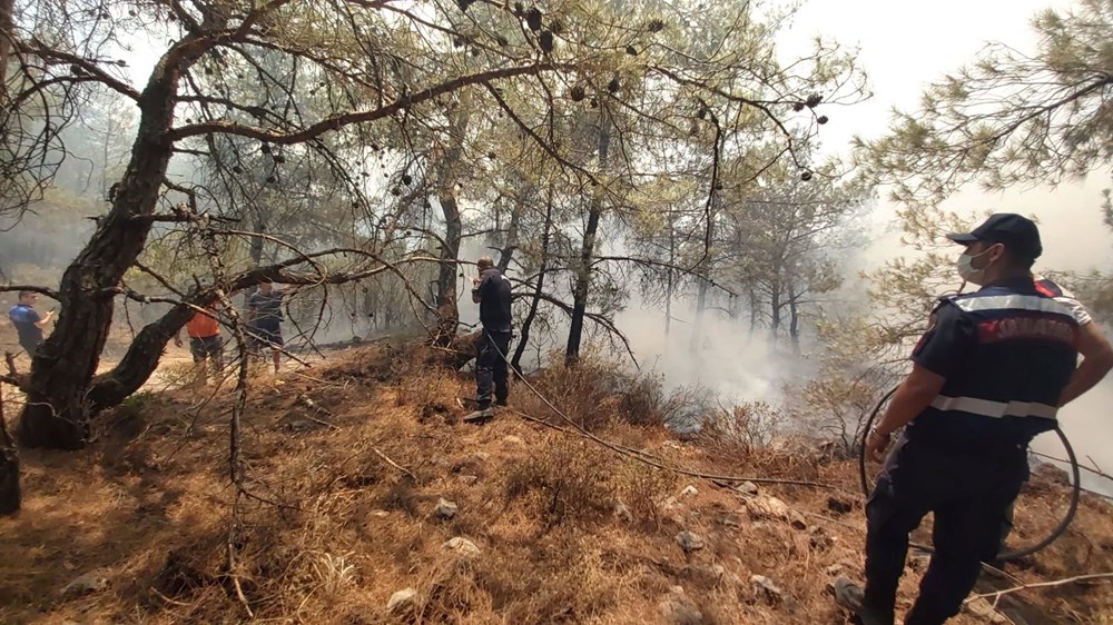 Datça'da orman yangını: Çıkış nedeni belli oldu - 6