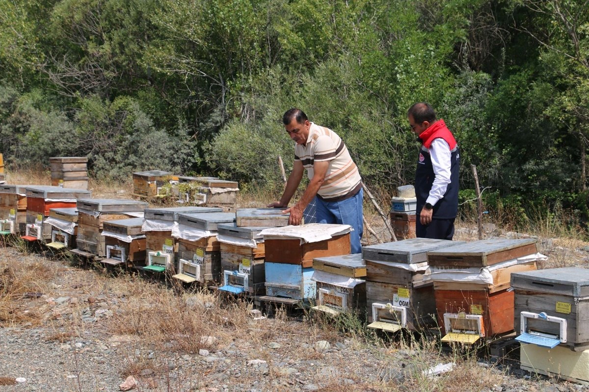 XOreFMdq8UmLf53zodbTSA.jpg