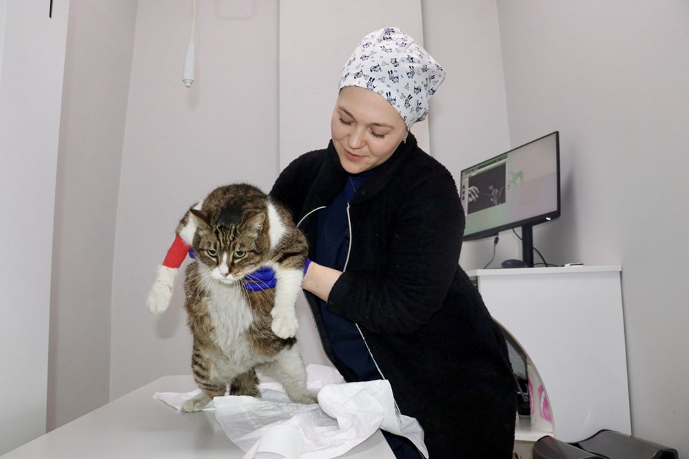 7 yaşındaki "Dombili" diyet yapamıyor: "Biri kıymalı pidenin kıymasını, diğeri köfte veriyor" - 6