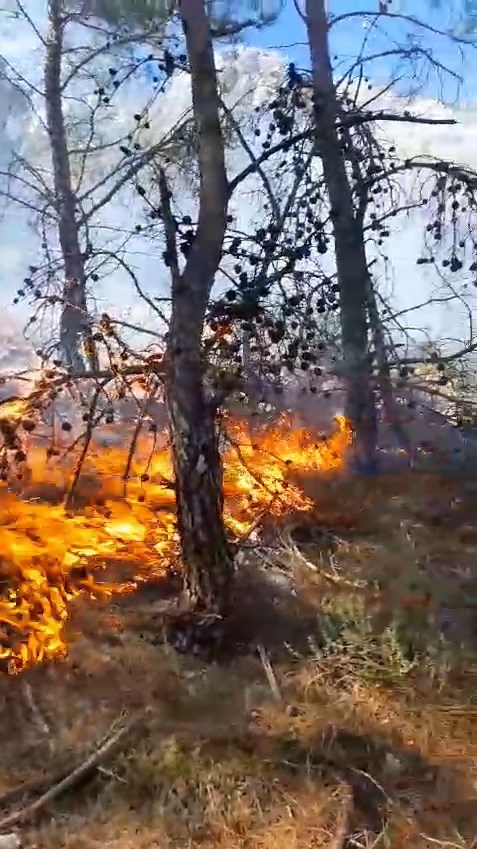 Alevler, kentte etkili olan fırtınanın da etkisiyle kısa sürede yayıldı.