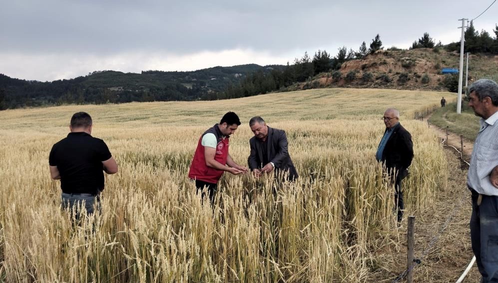 Muğla'da dolu sonrası hasar tespit çalışması