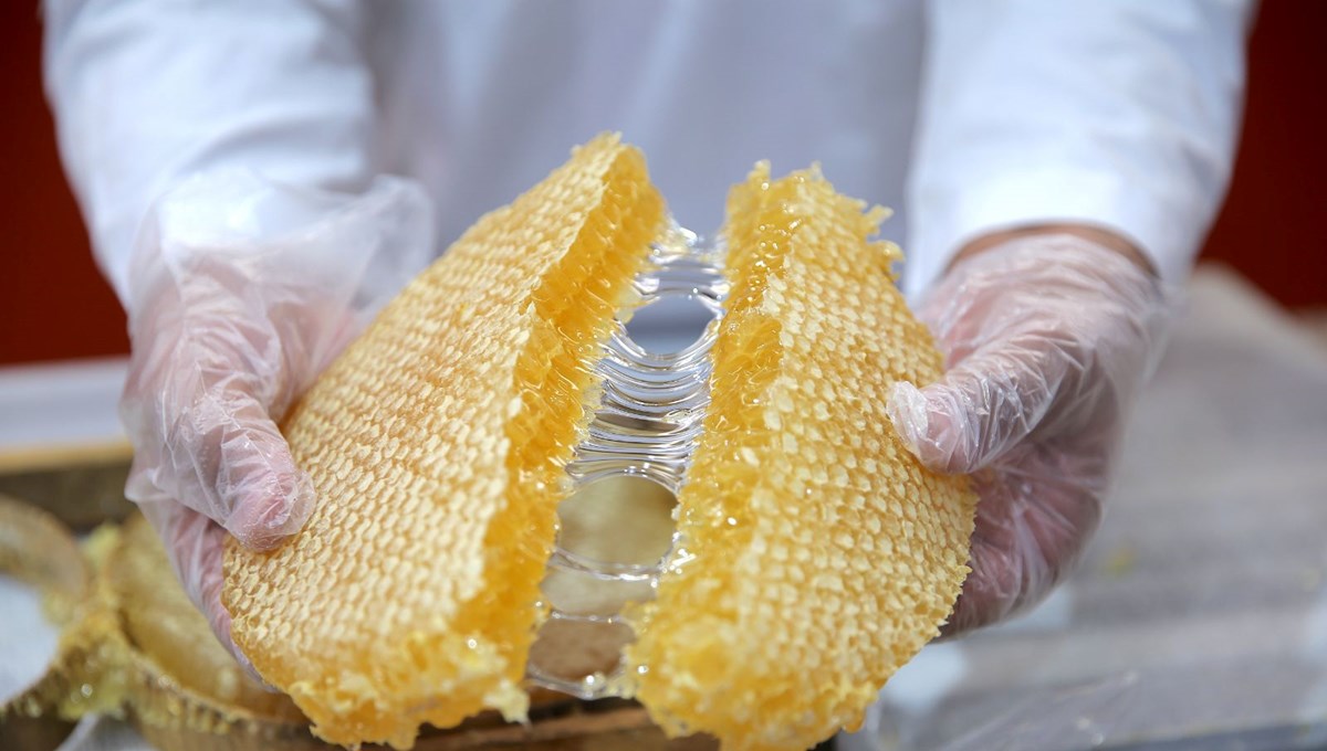 Devlet desteğiyle tesis kurdu: 20 kişiye iş imkanı sağladı