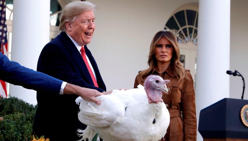 ABD Başkanı Trump, Şükran Günü için iki hindiyi affetti
