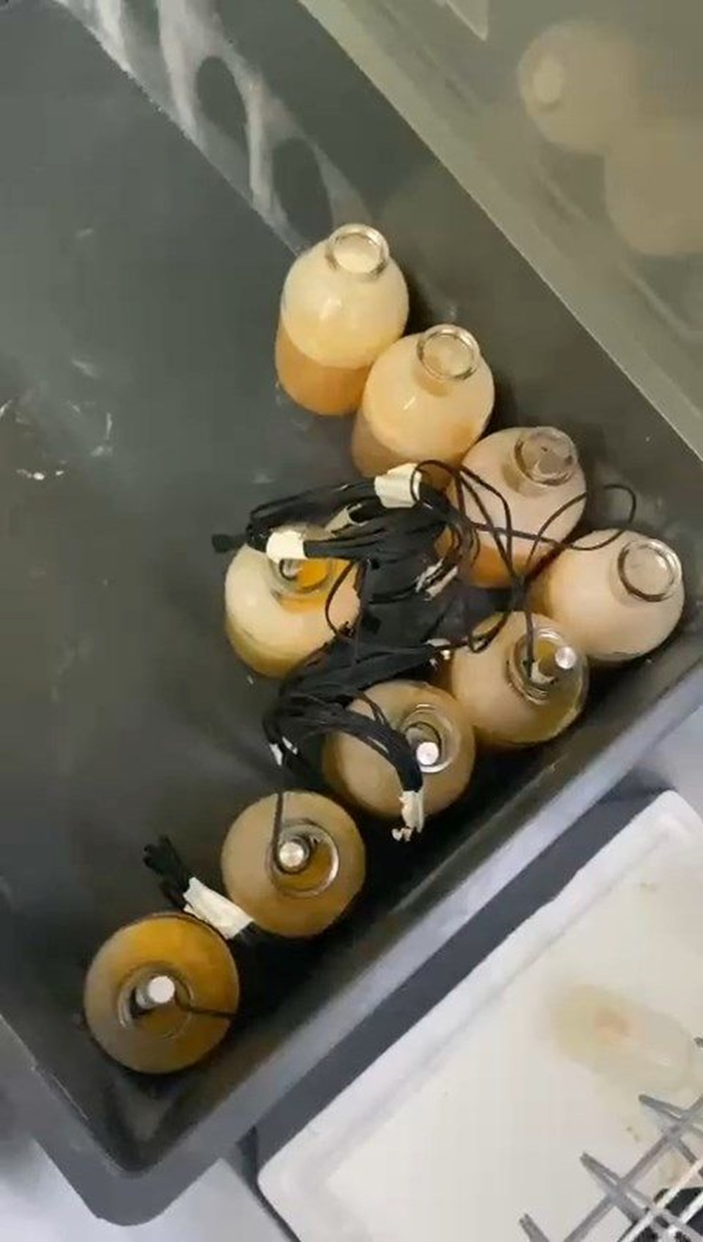 Gen Terapisi Dolandırıcılığı: Laboratuvar Kapatıldı! 71 XRSepUwl5UmUyr58N