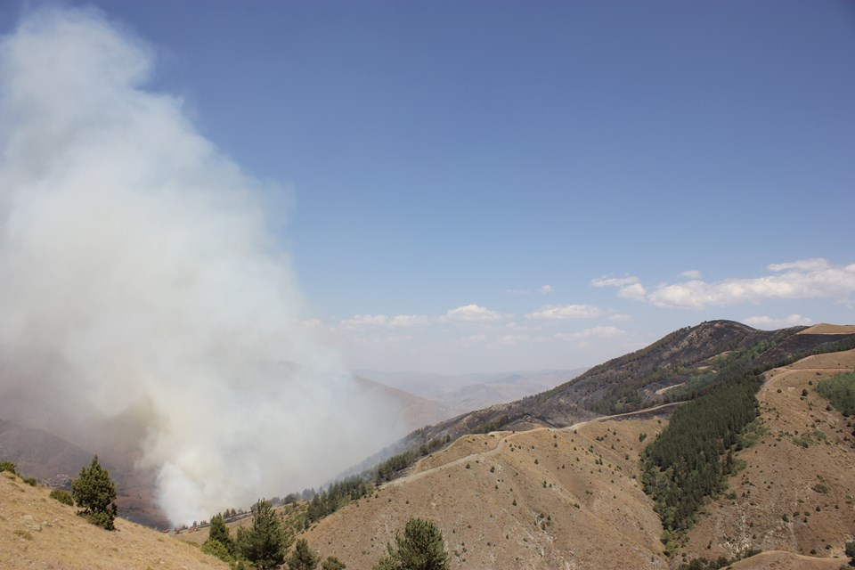 Erzurum'daki orman yangını kontrol altına alındı - 2