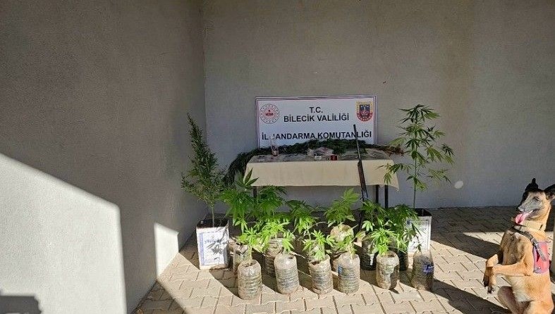 Bilecik'te yasadışı uyuşturucu operasyonu
