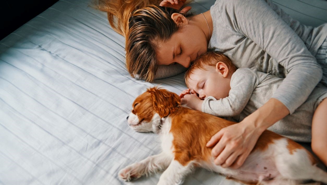 Evcil hayvanlarla uyumak kalitesiz bir uykuya sebep olabilir