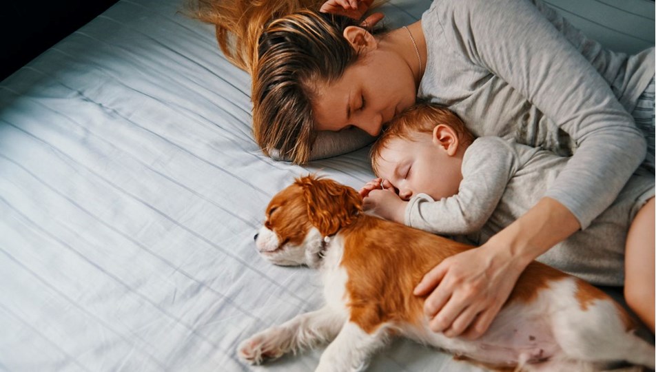 Evcil hayvanlarla uyumak kalitesiz bir uykuya sebep olabilir