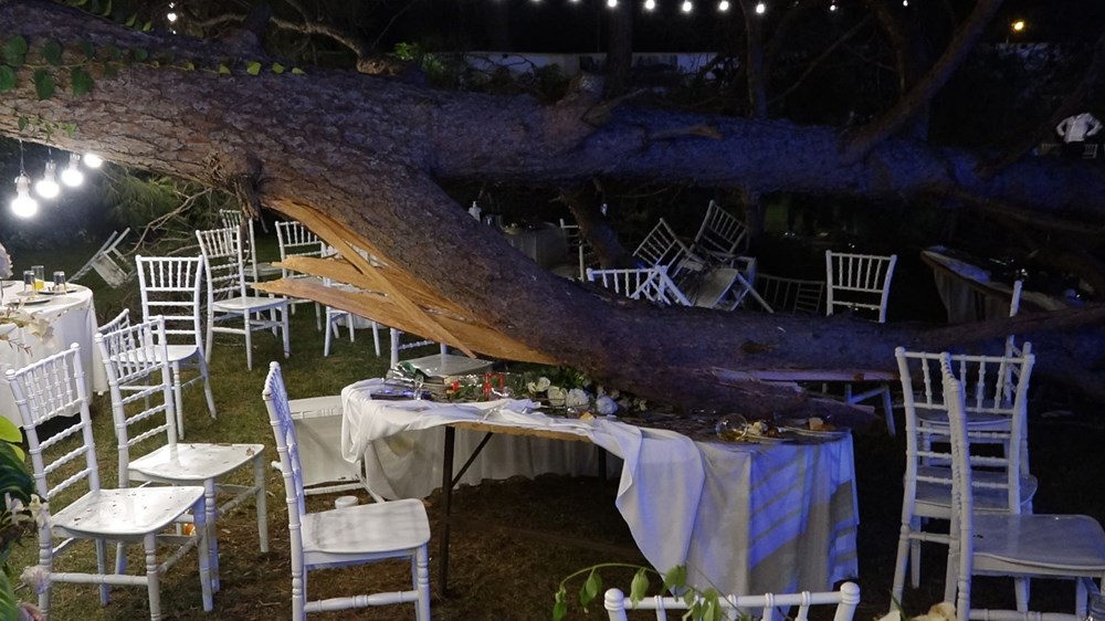 Antalya'da kır düğününde'ağaç' devrildi: 1 ölü - 7