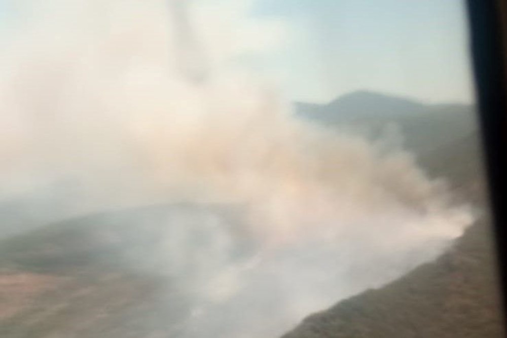 İzmir’de orman yangını: Havadan ve karadan müdahale başladı - 3