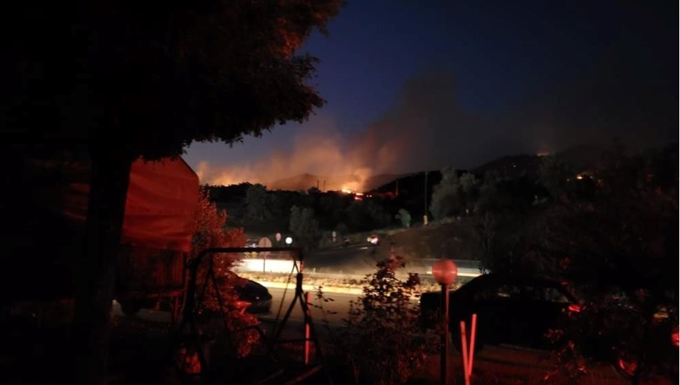 Aydın'da orman yangını hızla ilerliyor: Bir mahalle boşaltıldı