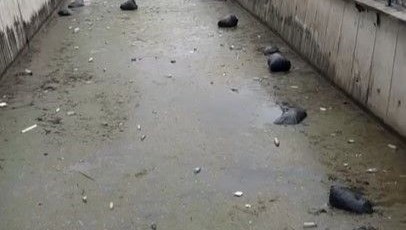 Gemlik körfezi çöplüğe döndü