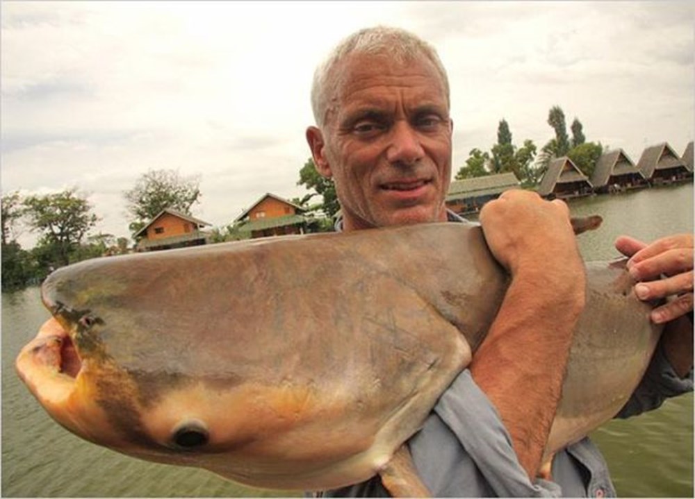 Речные монстры 2024. Речные монстры арапайма. Речные монстры 2024. Джерри уэйд речные монстры. Речные монстры пираиба.