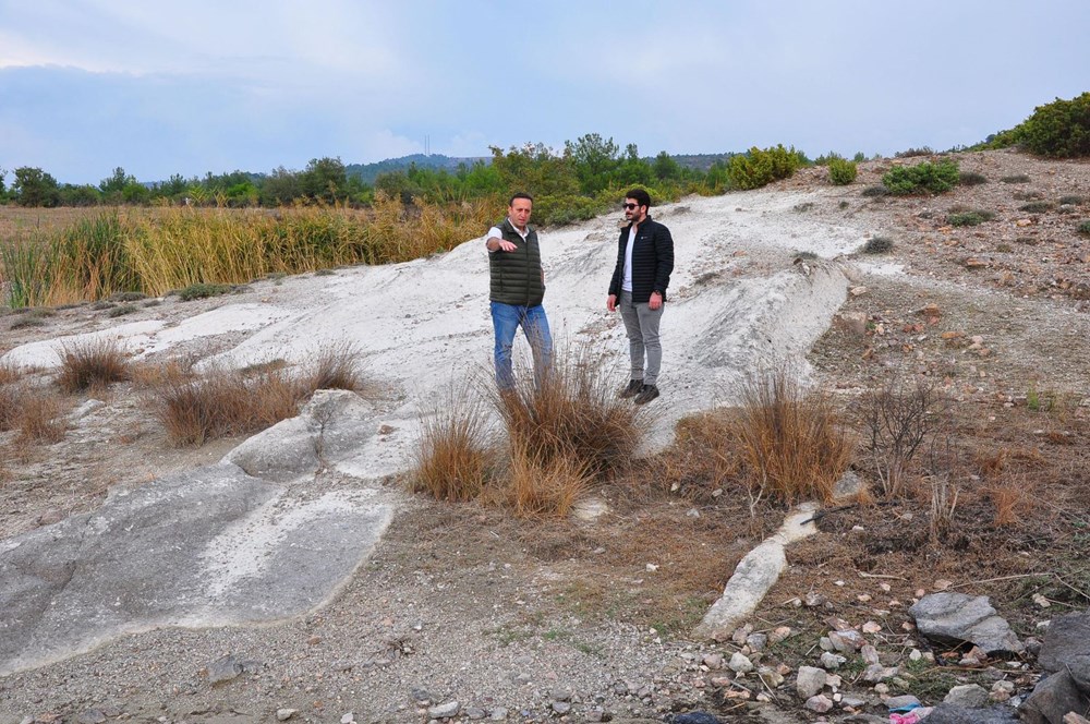 21 milyon yıllık fosil ağaç ormanı tehlikede - 11