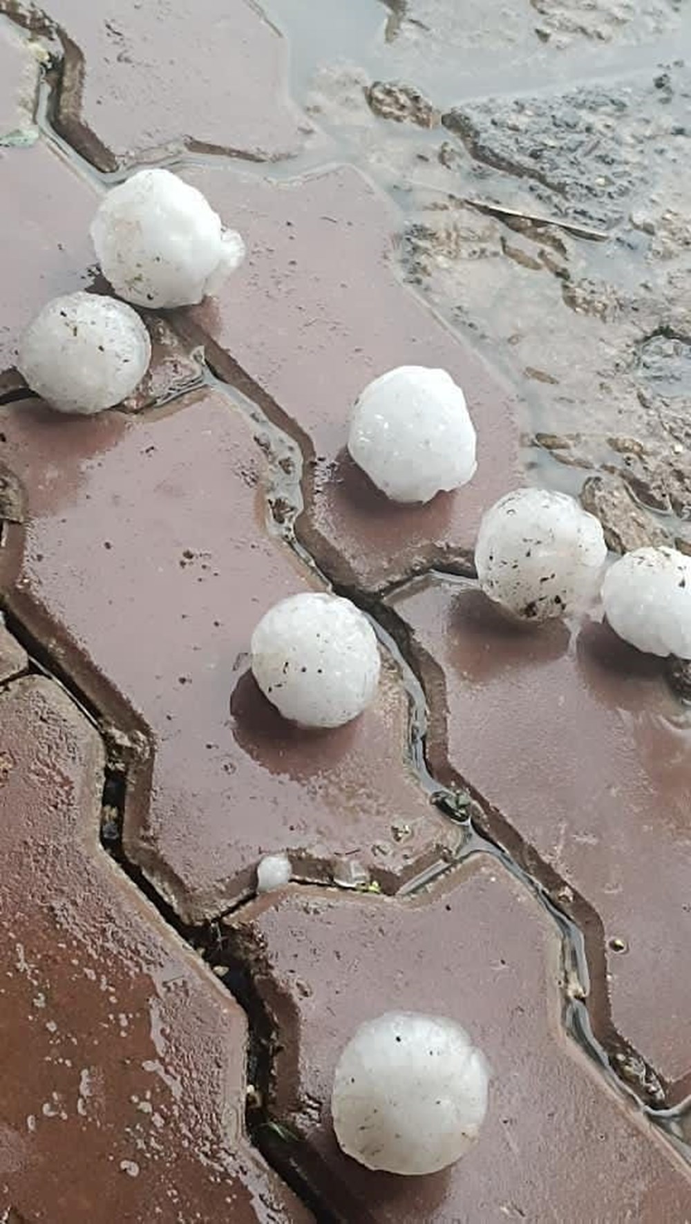 Şanlıurfa'da kar topu büyüklüğünde dolu yağdı - 6
