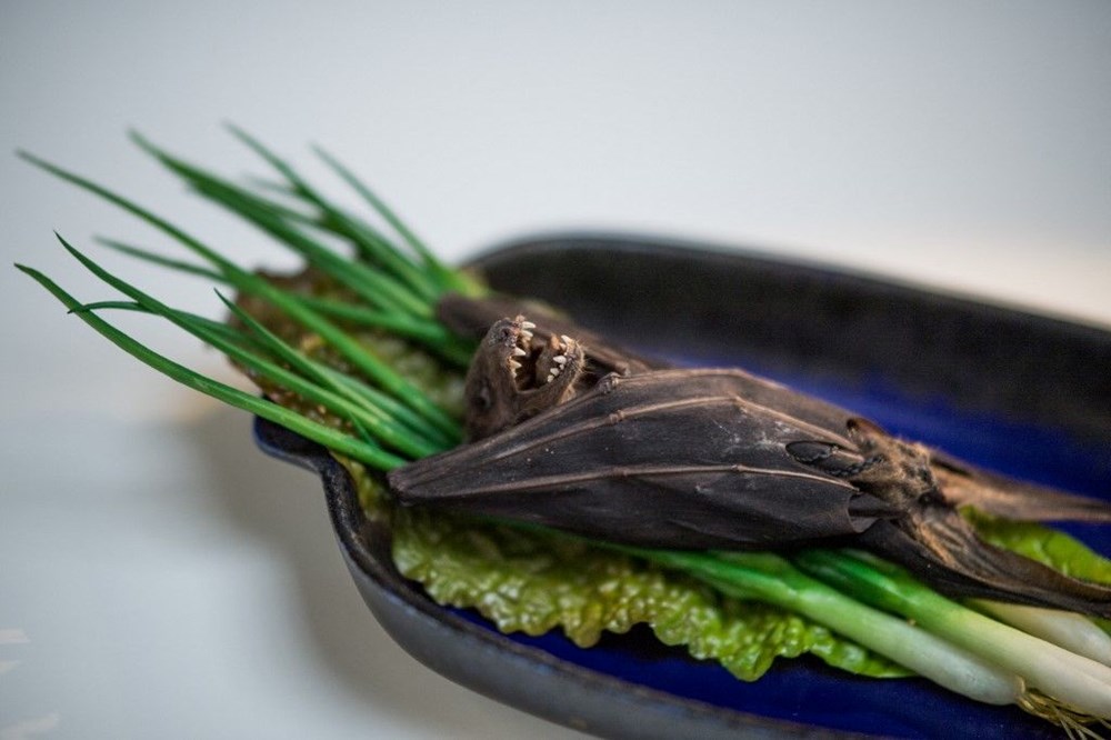 Dünyanın en 'iğrenç' yemekleri bu müzede - 2