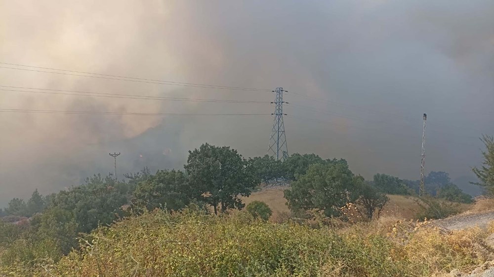 Çanakkale'de orman yangını (6 köy ve üniversite kampüsü tahliye edildi) - 20