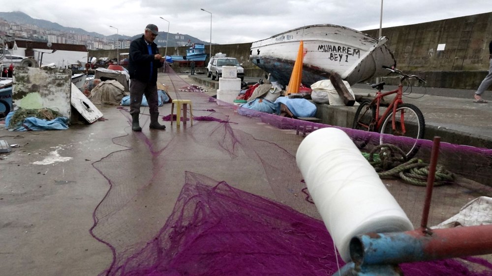 Karadeniz'de hamsi bolluğu: Fiyatlar düştü - 2