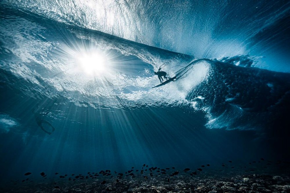 Okyanus Fotoğrafları Yarışması'nın finalistleri belli oldu - 20